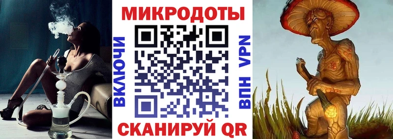 Галлюциногенные грибы мицелий  блэк спрут маркетплейс  Грайворон 